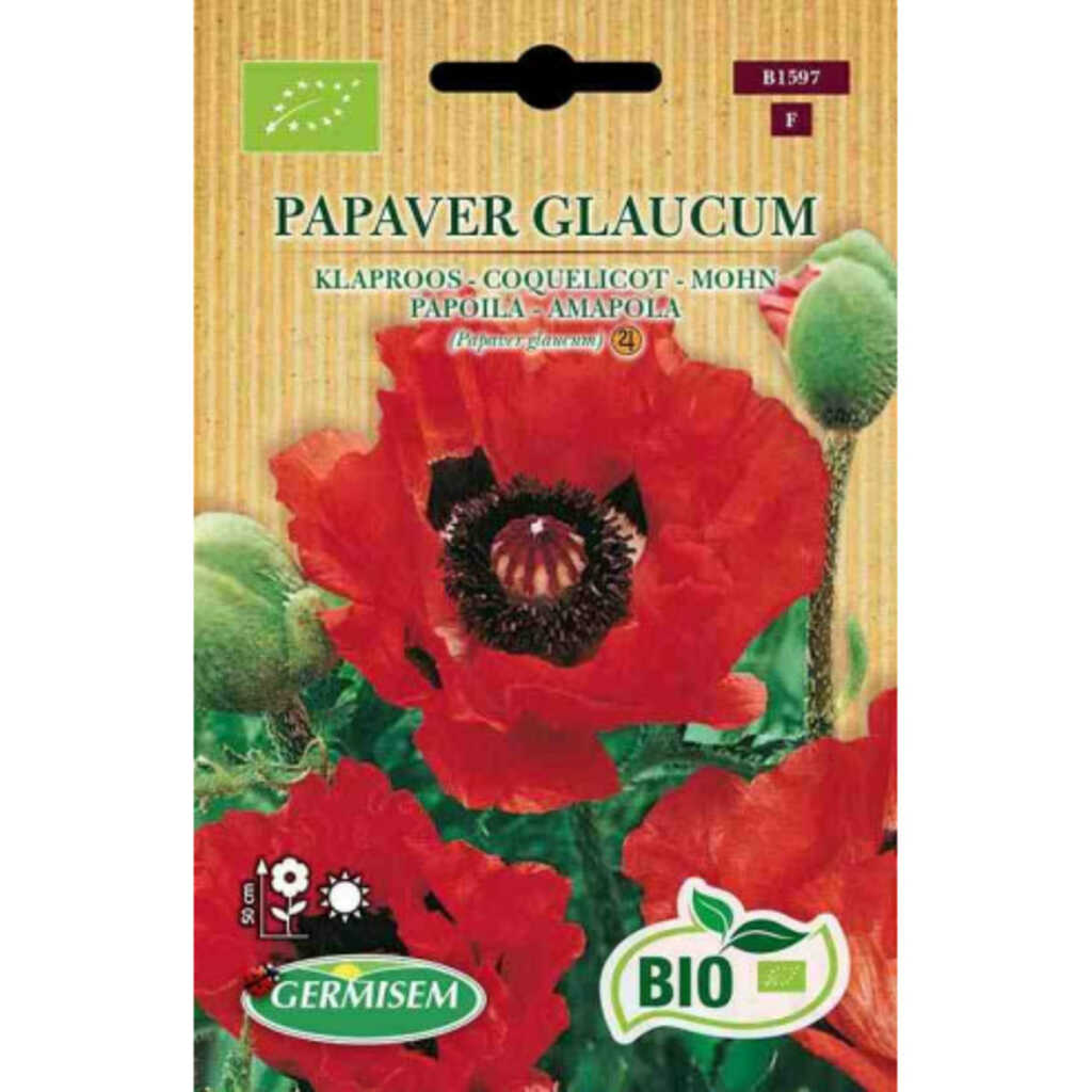 Semillas ecológicas de amapola (Papaver glaucum)