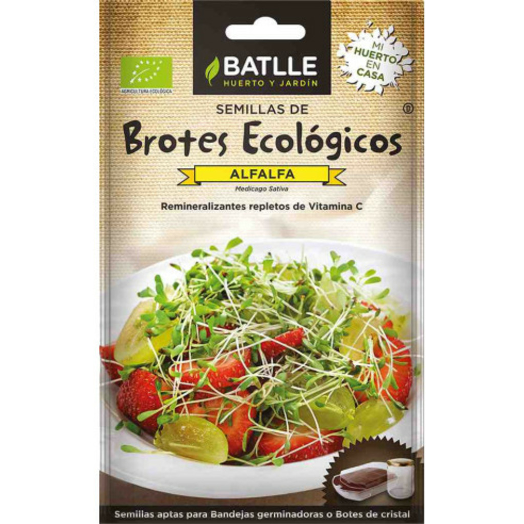 Semillas ecológicas de brotes de alfalfa