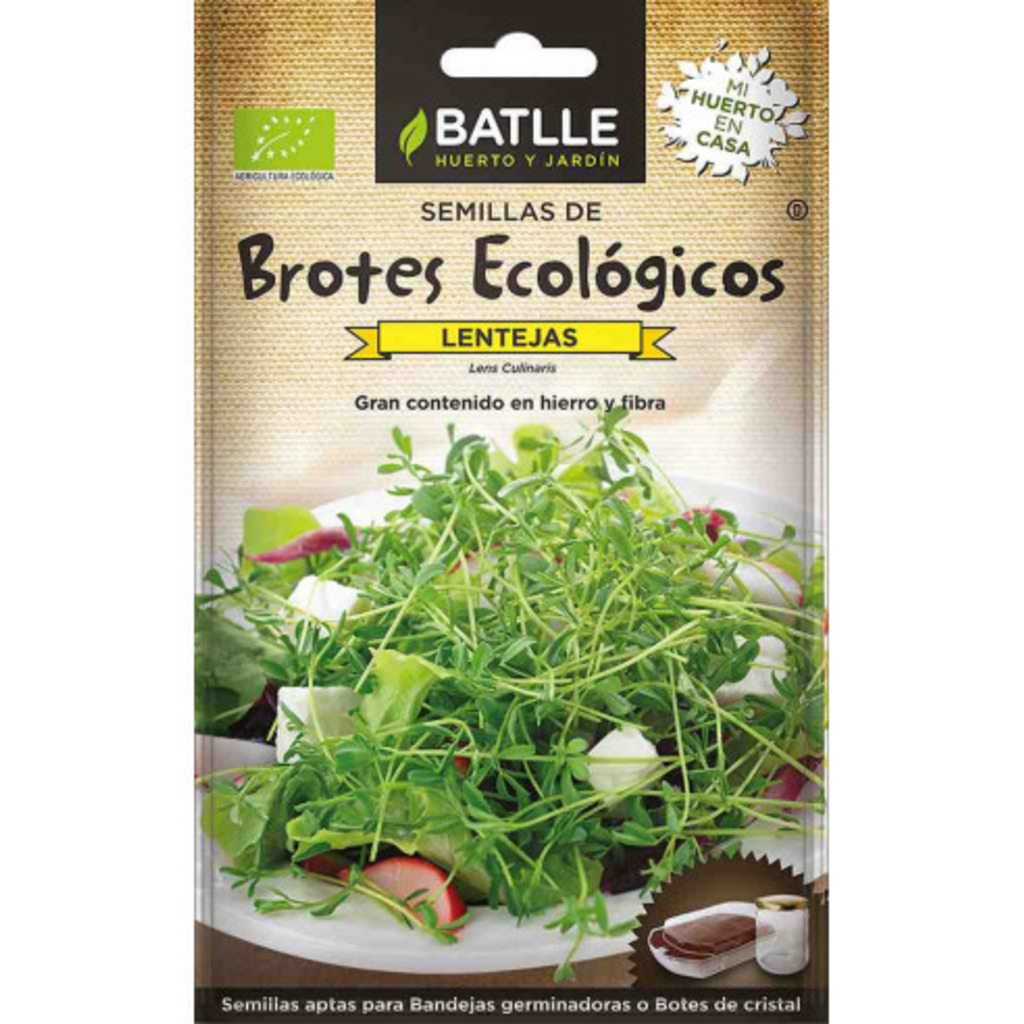 Semillas ecológicas de brotes de lenteja
