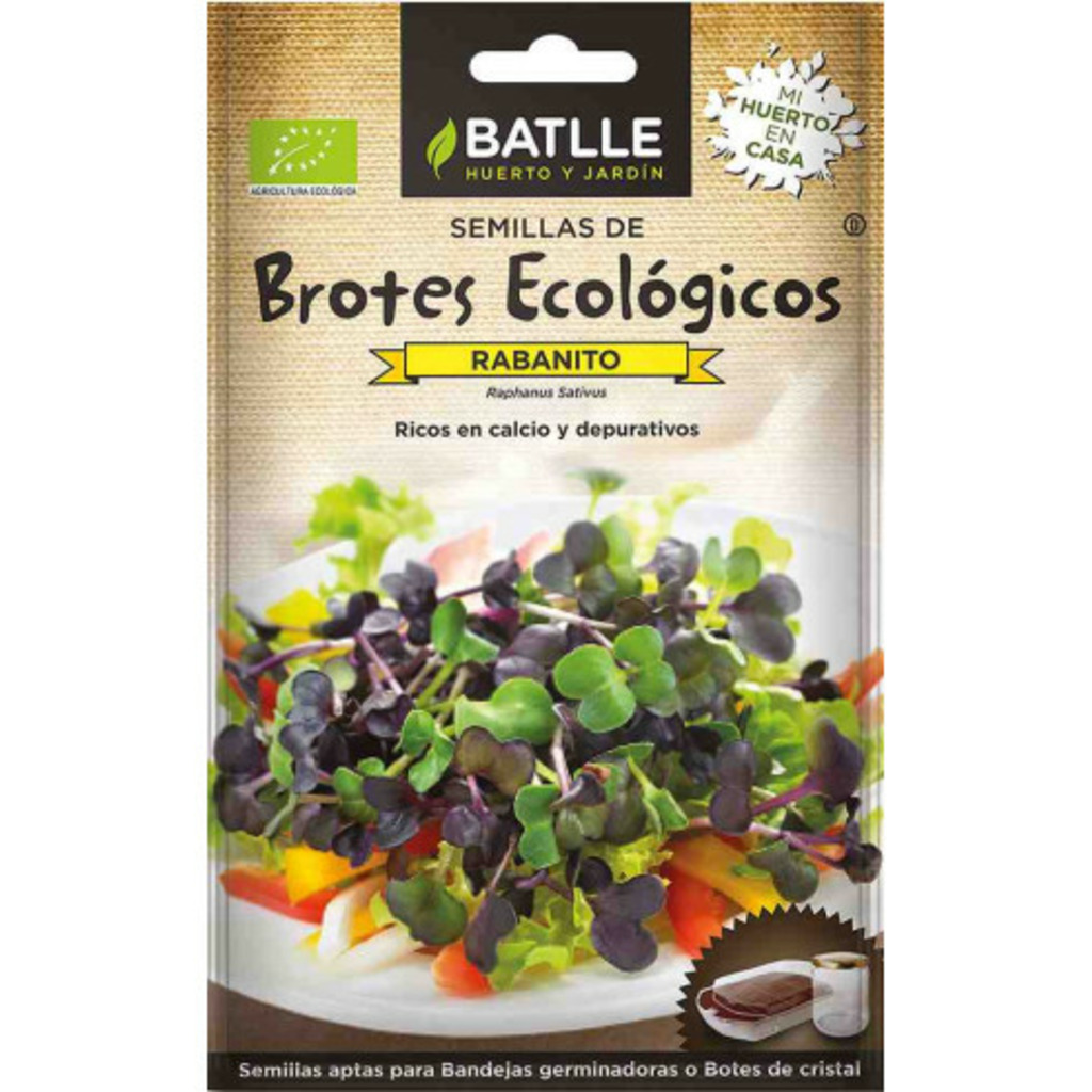 Semillas ecológicas de brotes de rabanito