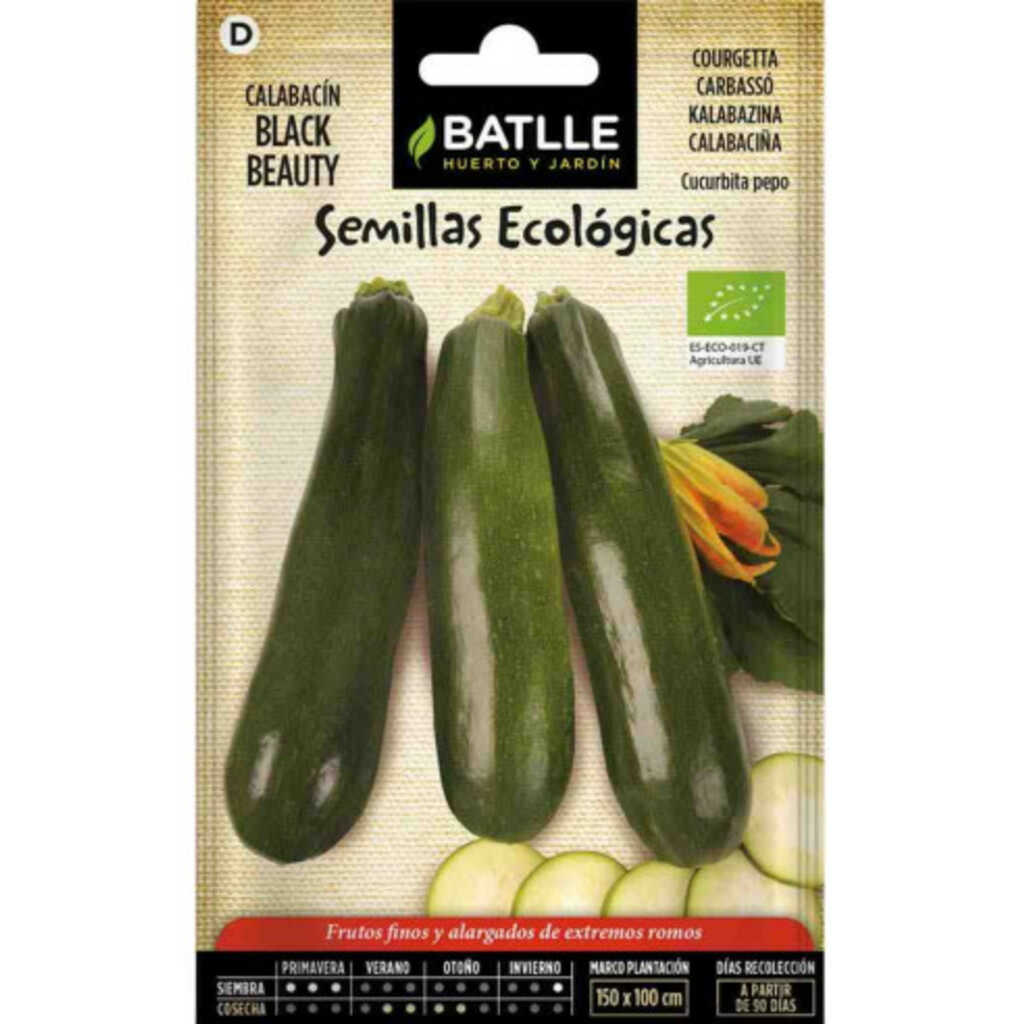Semillas ecológicas de calabacín Belleza negra 100g
