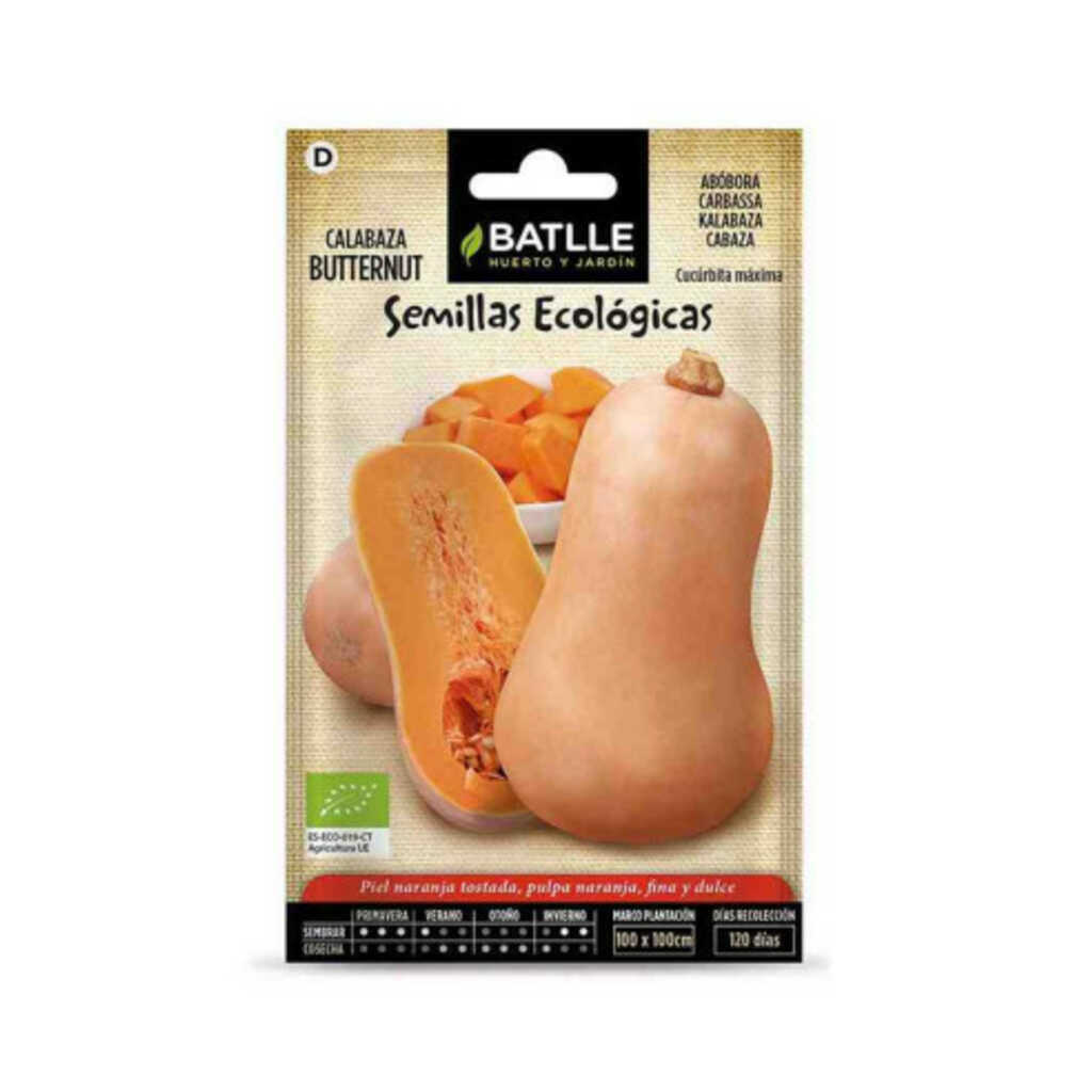 Semillas ecológicas de calabaza Butternut 100g