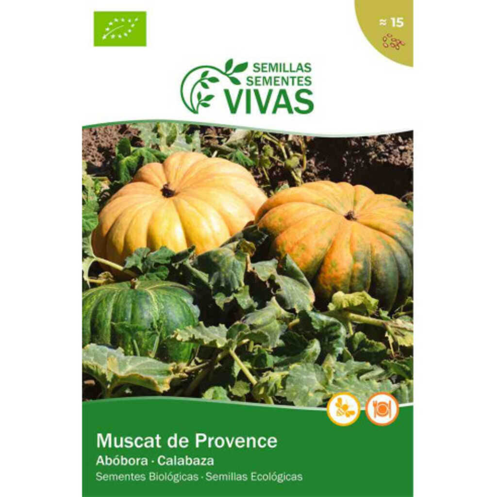 Semillas ecológicas de Calabaza Muscat de Provenza