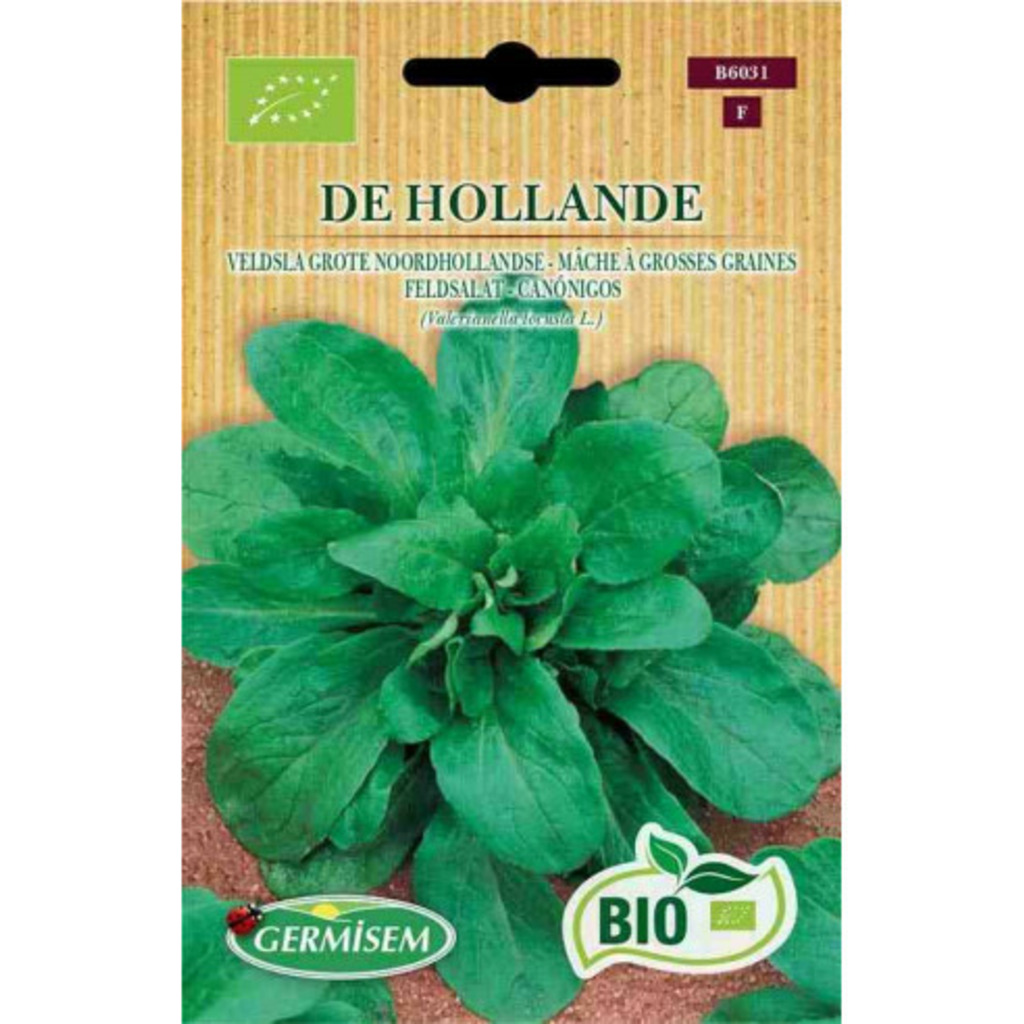 Semillas ecológicas de canónigos