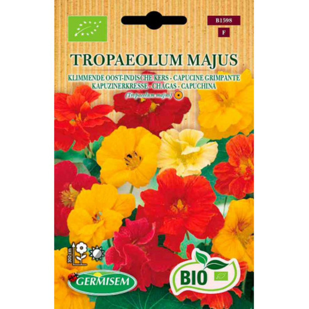 Semillas ecológicas de capuchina alta