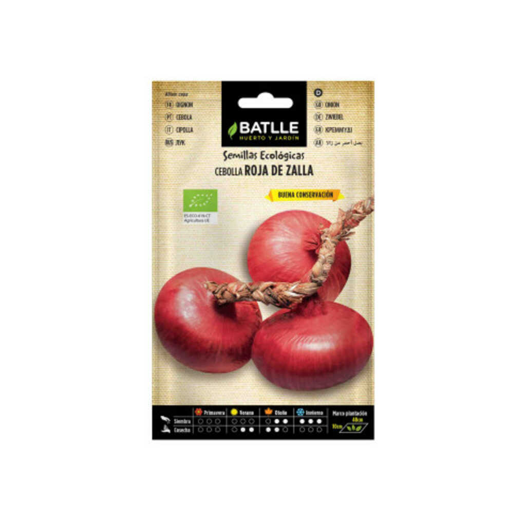 Semillas ecológicas de cebolla roja de Zalla