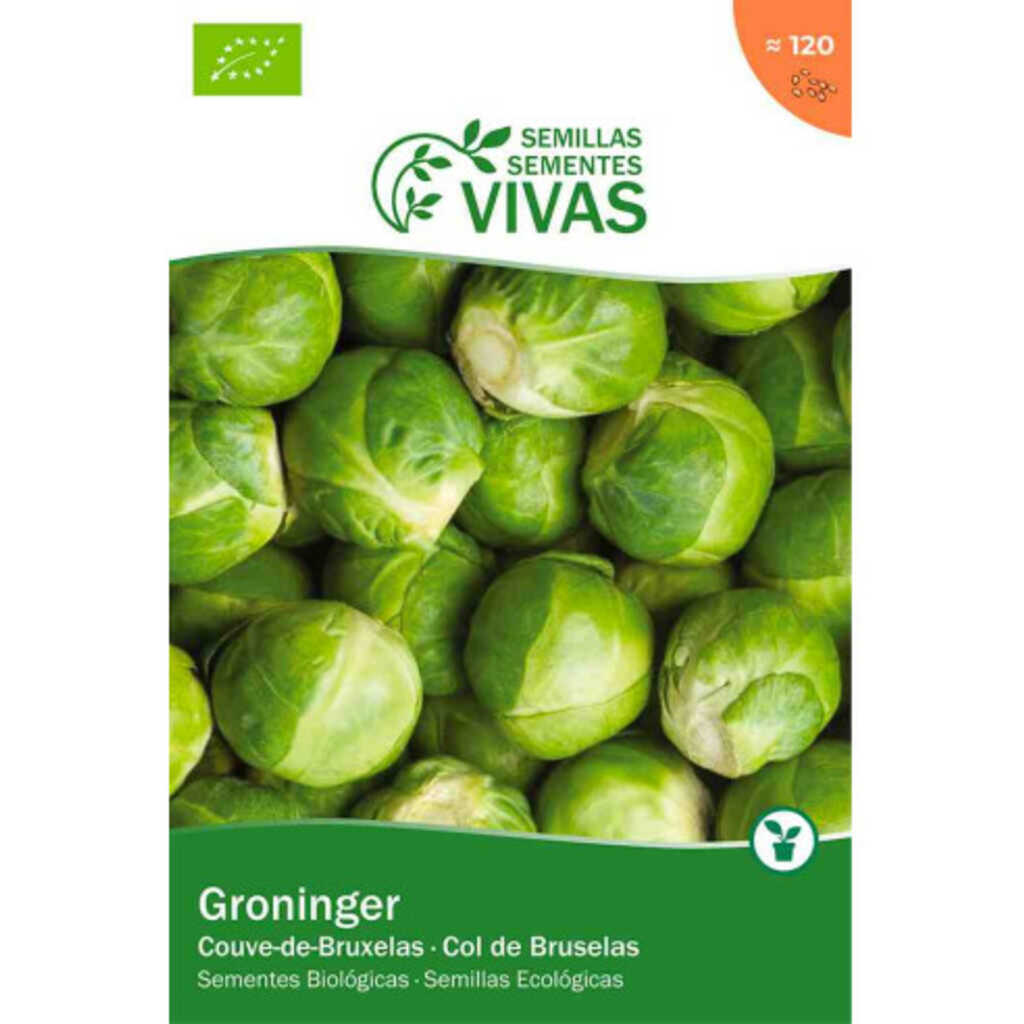 Semillas ecológicas de Col de Bruselas