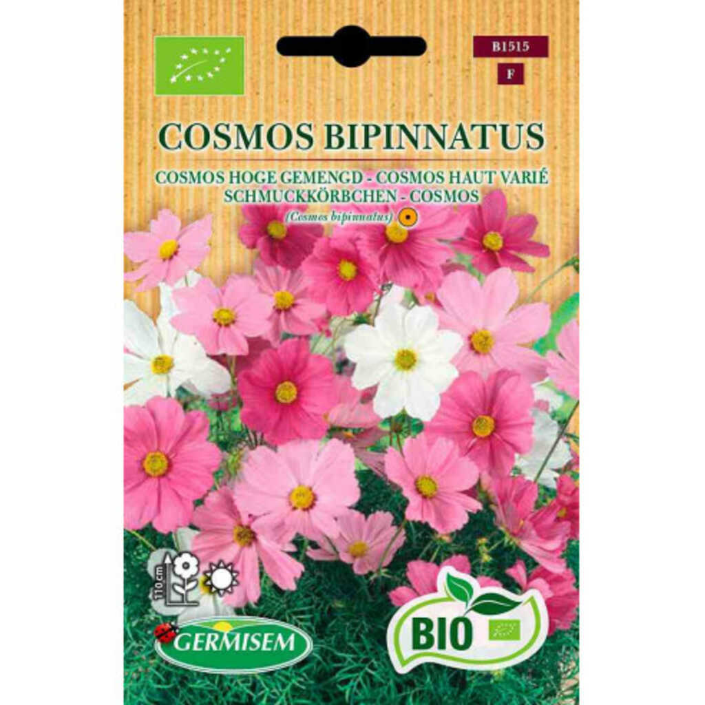 Semillas ecológicas de cosmos alto