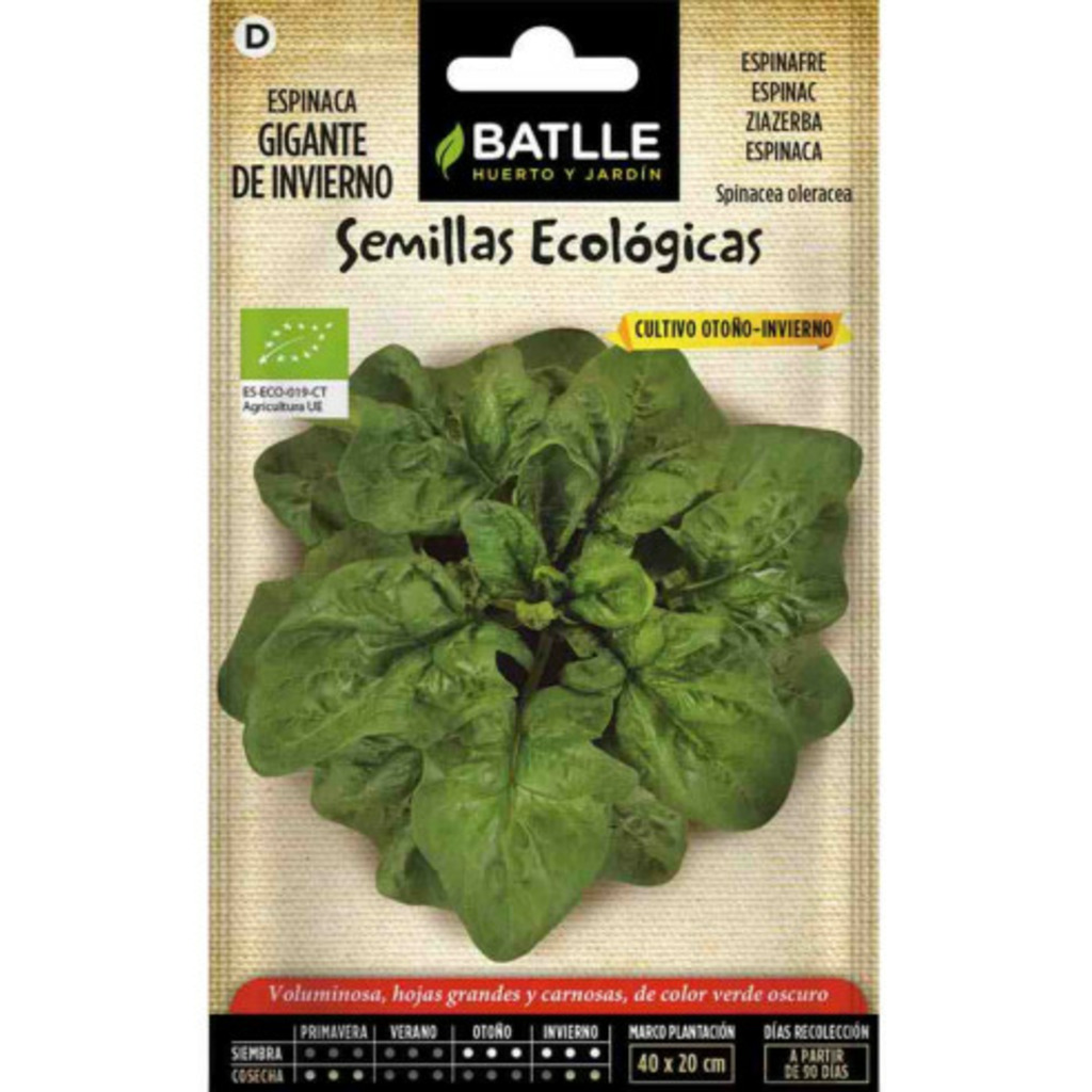 Semillas ecológicas de espinaca gigante de invierno 100g