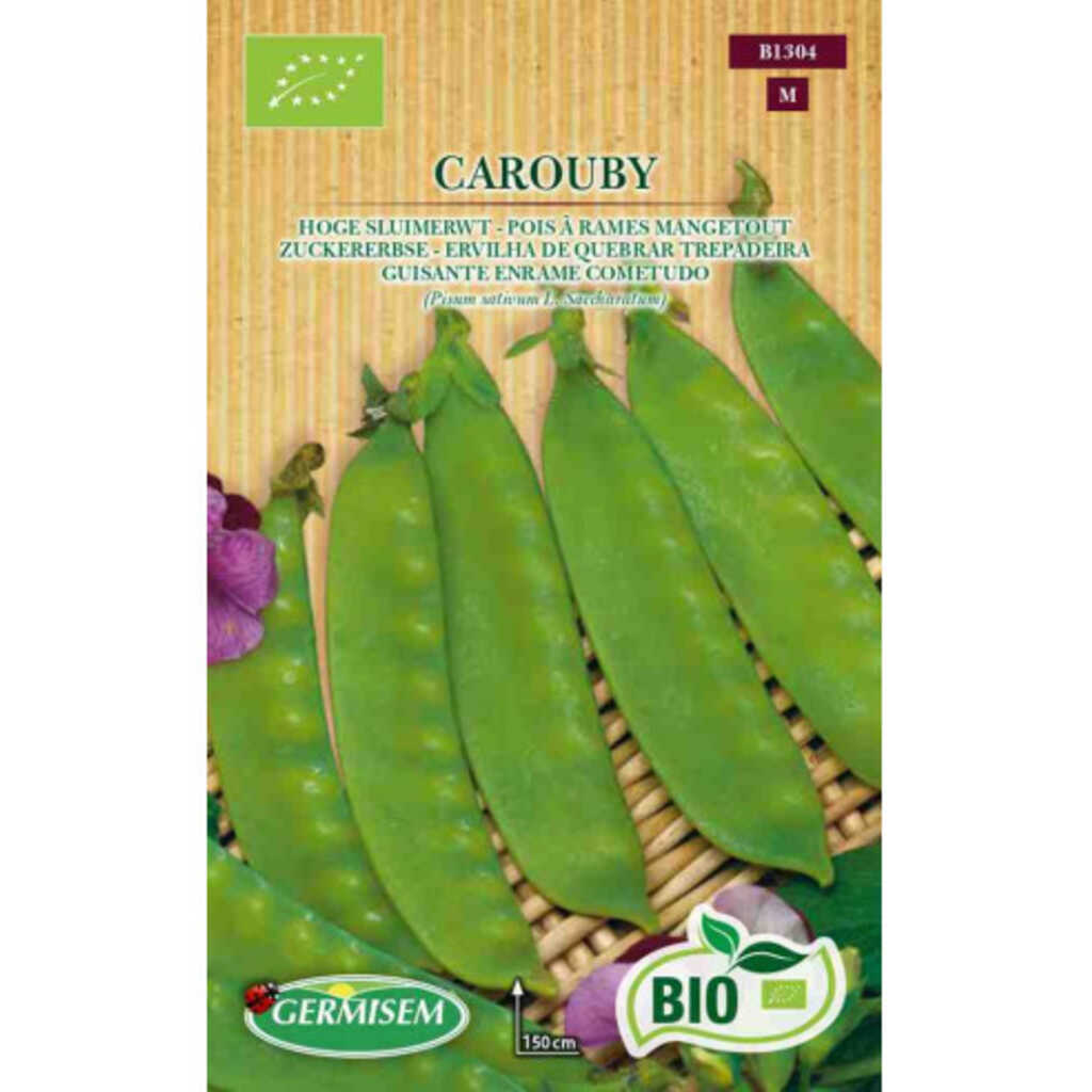 Semillas ecológicas de guisante cometodo de enrame Carouby