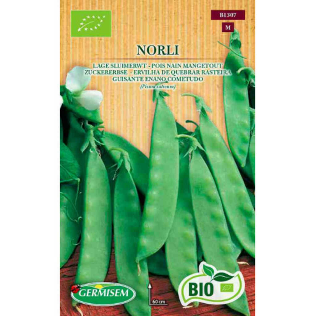 Semillas ecológicas de guisante cometodo de mata baja Norli