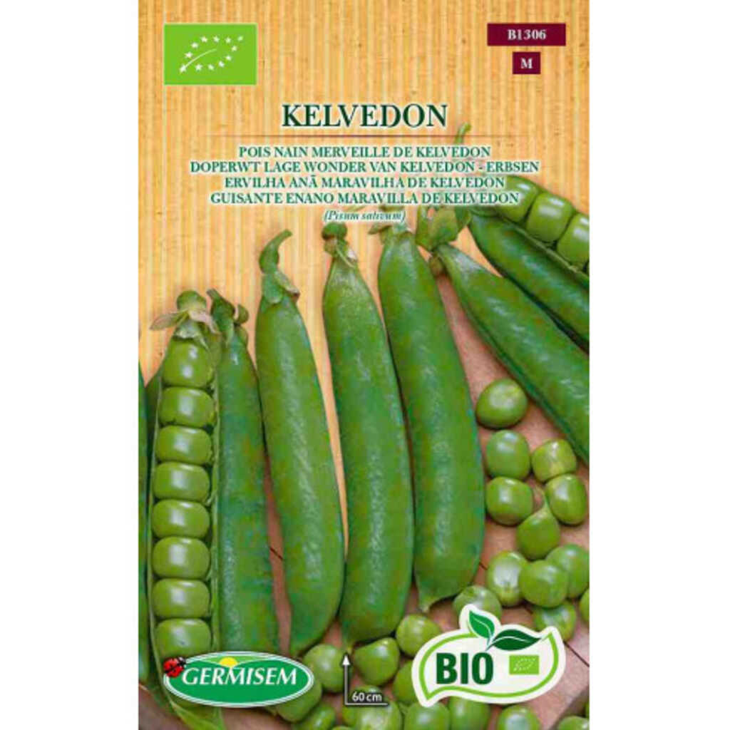 Semillas ecológicas de guisante de mata baja Kelvedon
