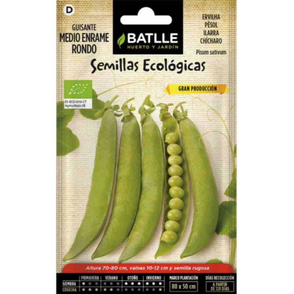 Semillas ecológicas de guisante medio enrame Rondo 500g
