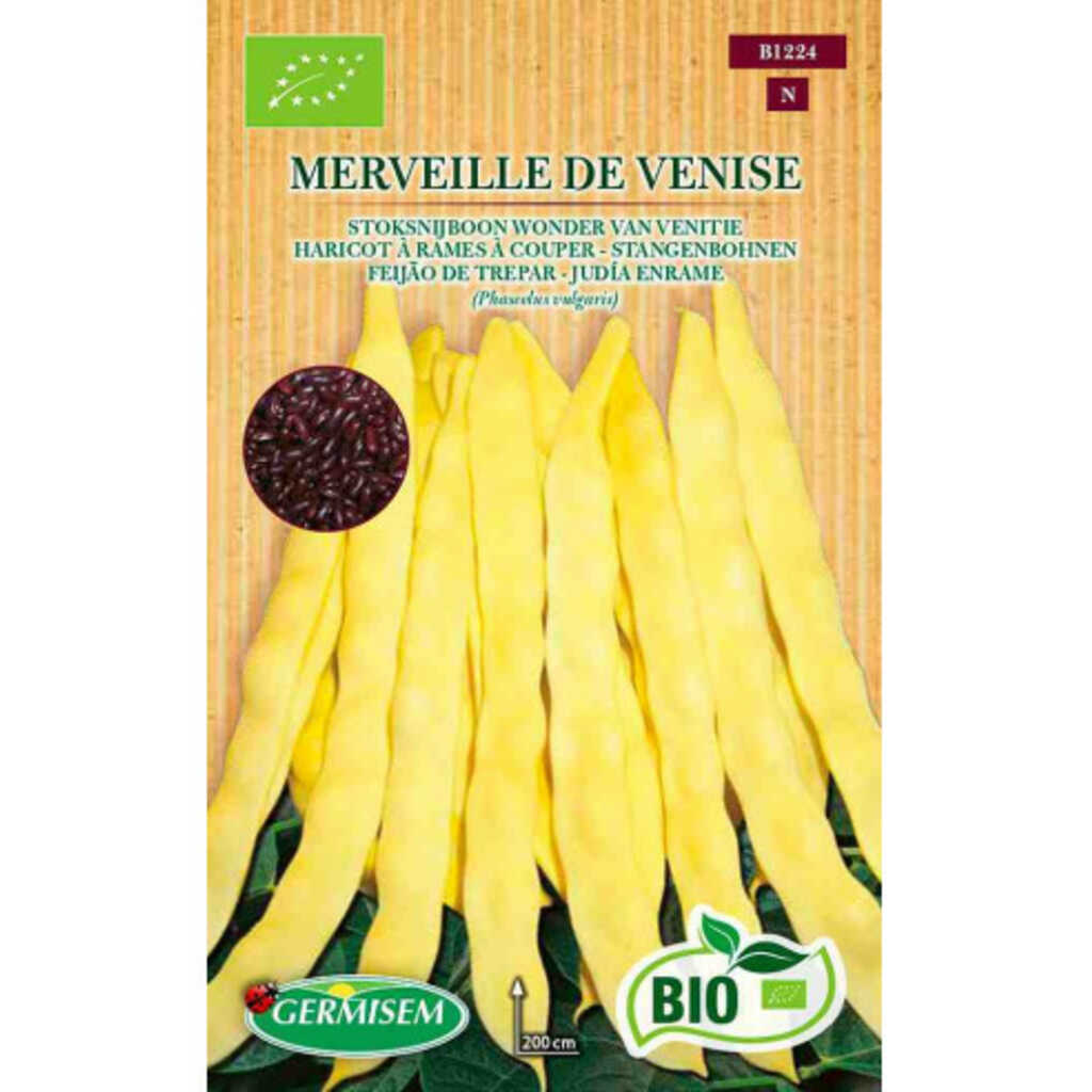 Semillas ecológicas de judía de enrame Maravilla de Venecia