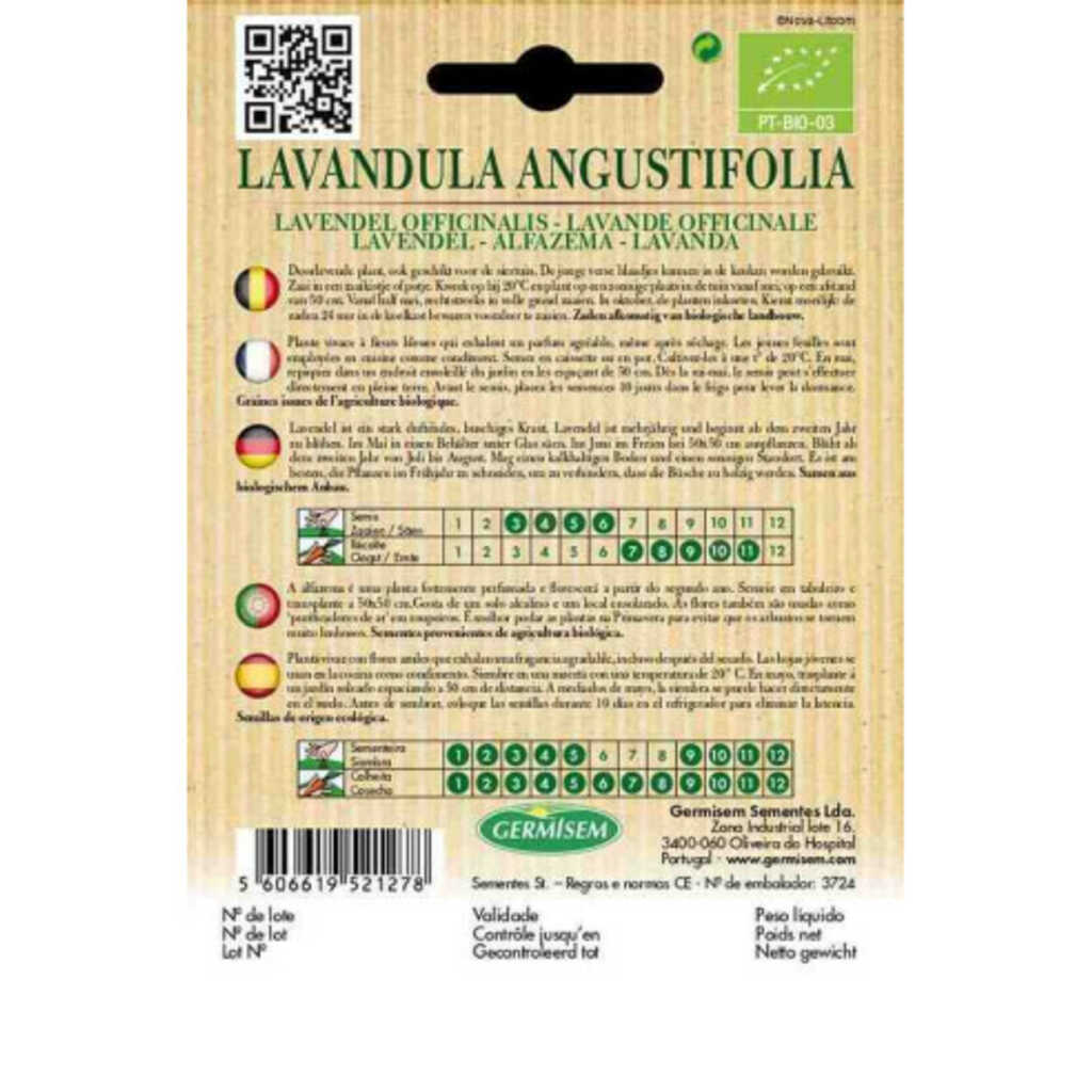 Semillas ecológicas de lavanda (Lavandula angustifolia)_1