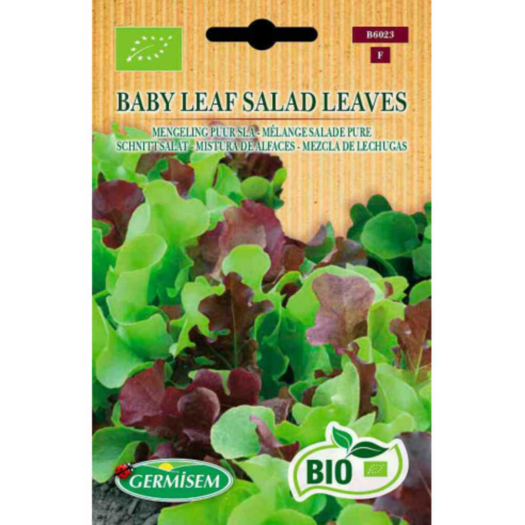 Semillas ecológicas de lechuga mezcla Baby Leaf