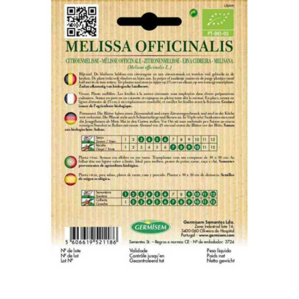 Semillas ecológicas de melisana (Melissa officinalis)_1