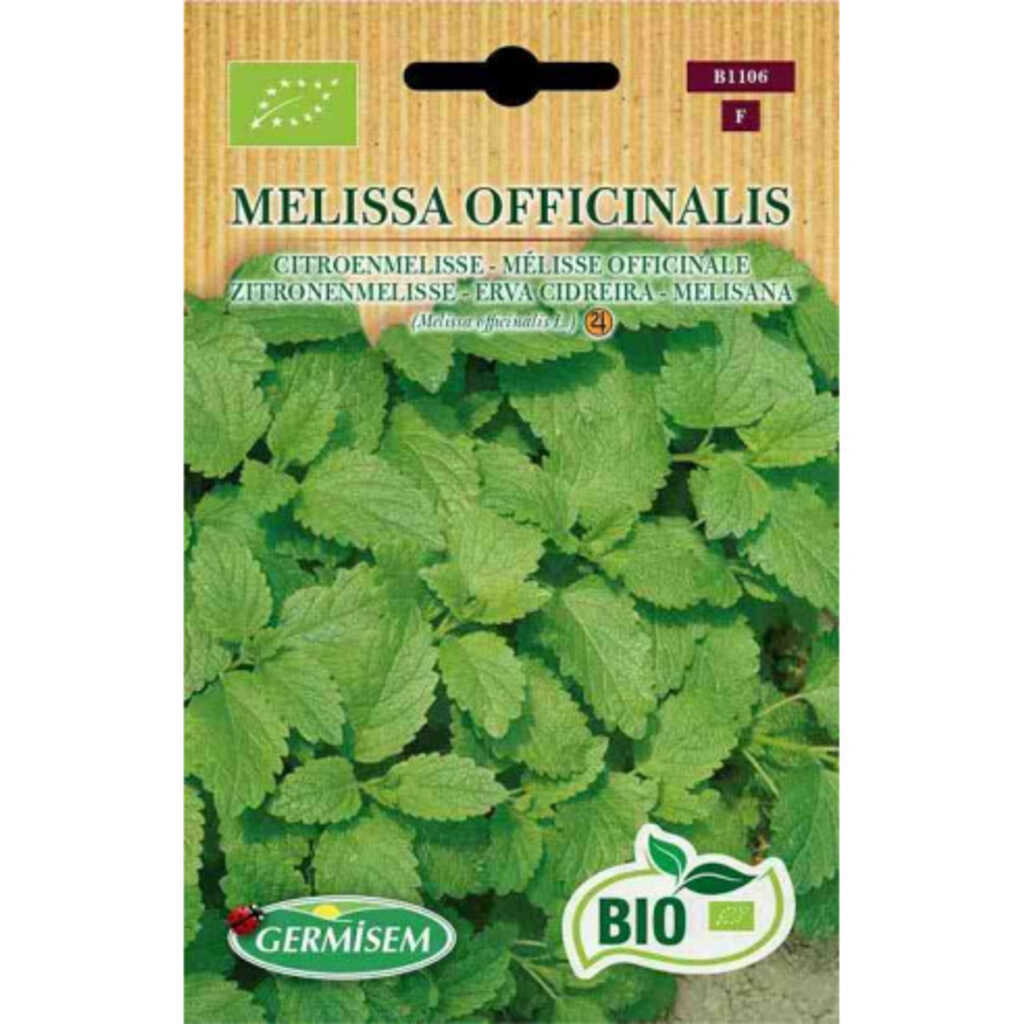 Semillas ecológicas de melisana (Melissa officinalis)