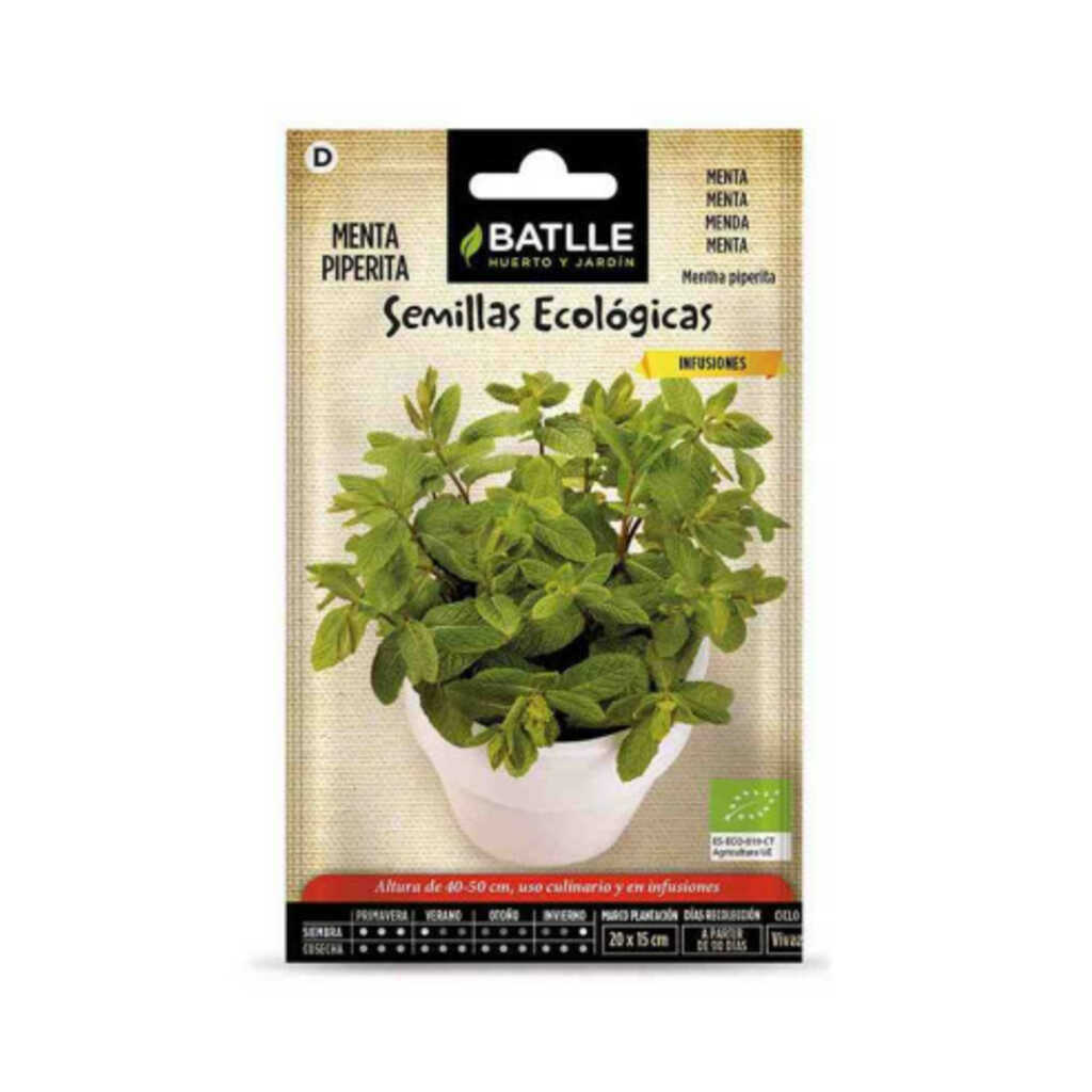 Semillas ecológicas de menta