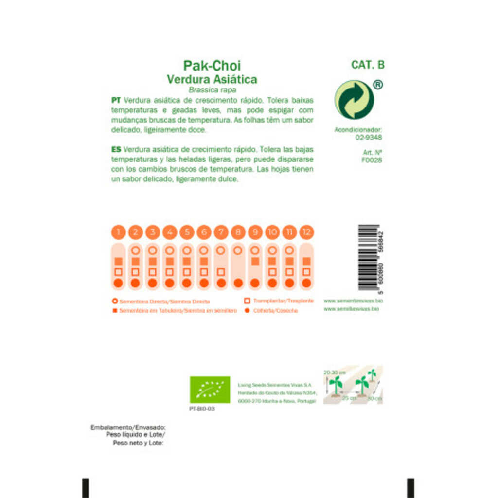 Semillas ecológicas de Pak-Choi (verdura asiática)_1