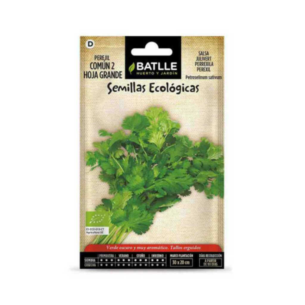 Semillas ecológicas de perejil común hoja grande