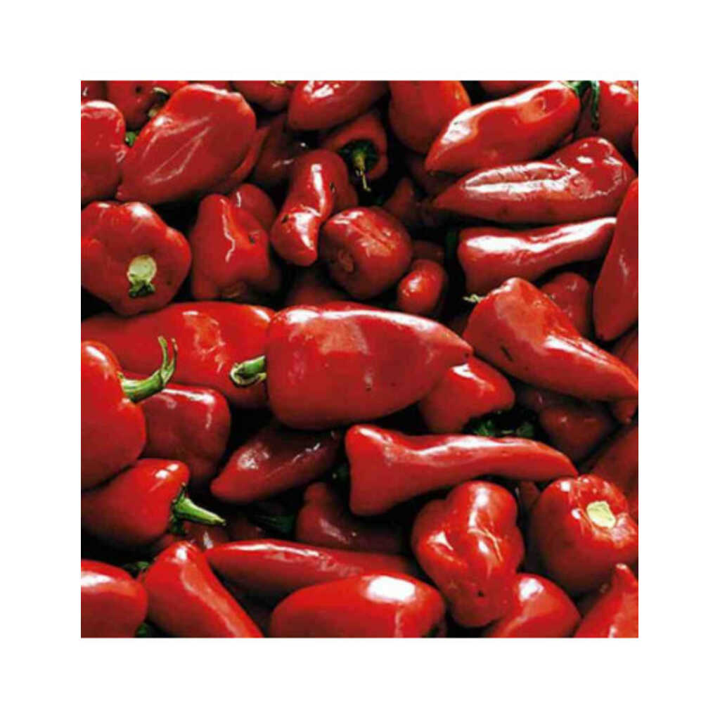 Semillas ecológicas de Pimiento del Piquillo