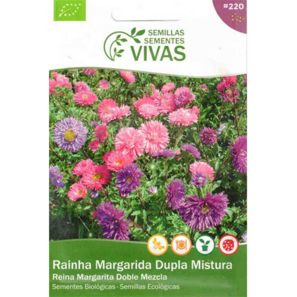 Semillas ecológicas de reina margarita doble mezcla (Aster de China)