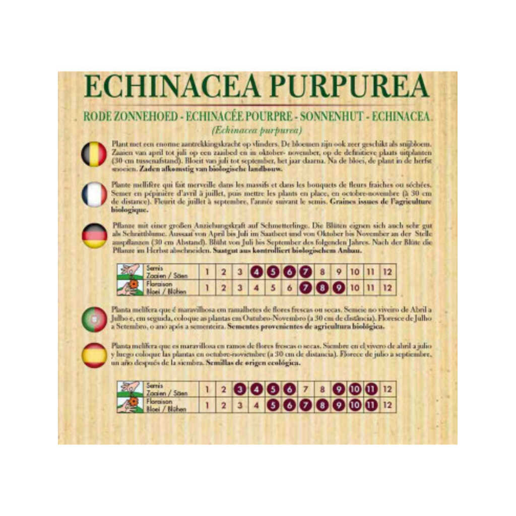 Semillas ecológicas de Equinácea purpurea_1