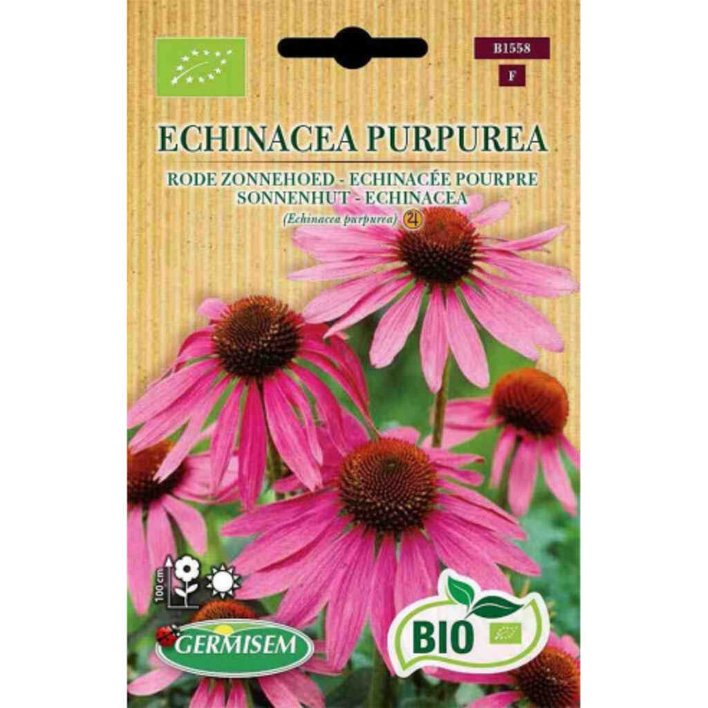 Semillas ecológicas de Equinácea purpurea