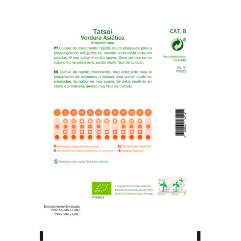 Semillas ecológicas de Tatsoi (verdura asiática)_1
