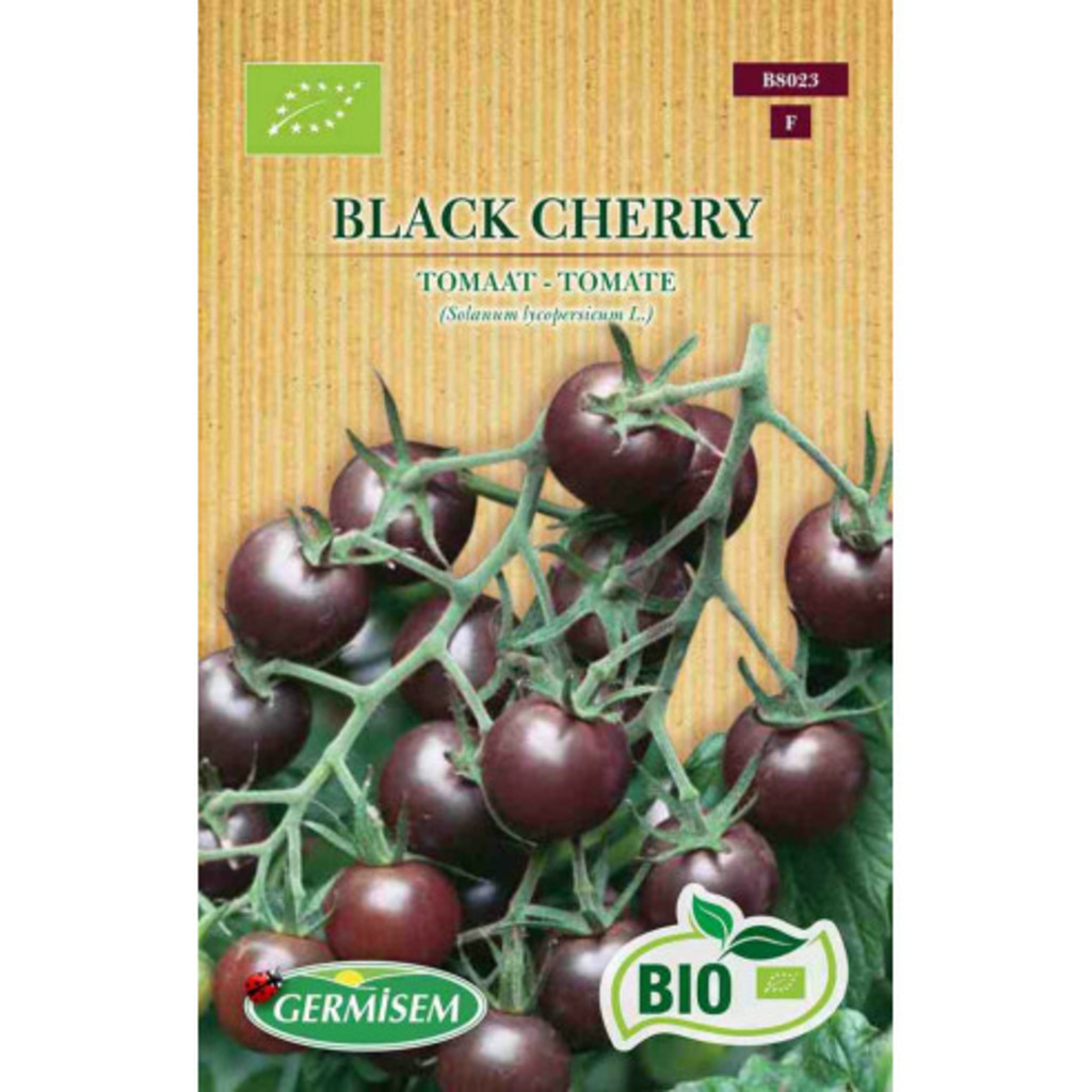 Semillas ecológicas de tomate Black Cherry