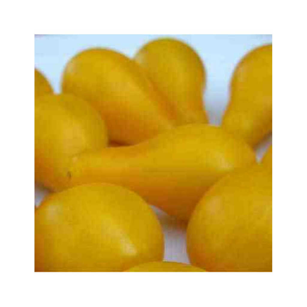 Semillas ecológicas de tomate bombilla amarillo