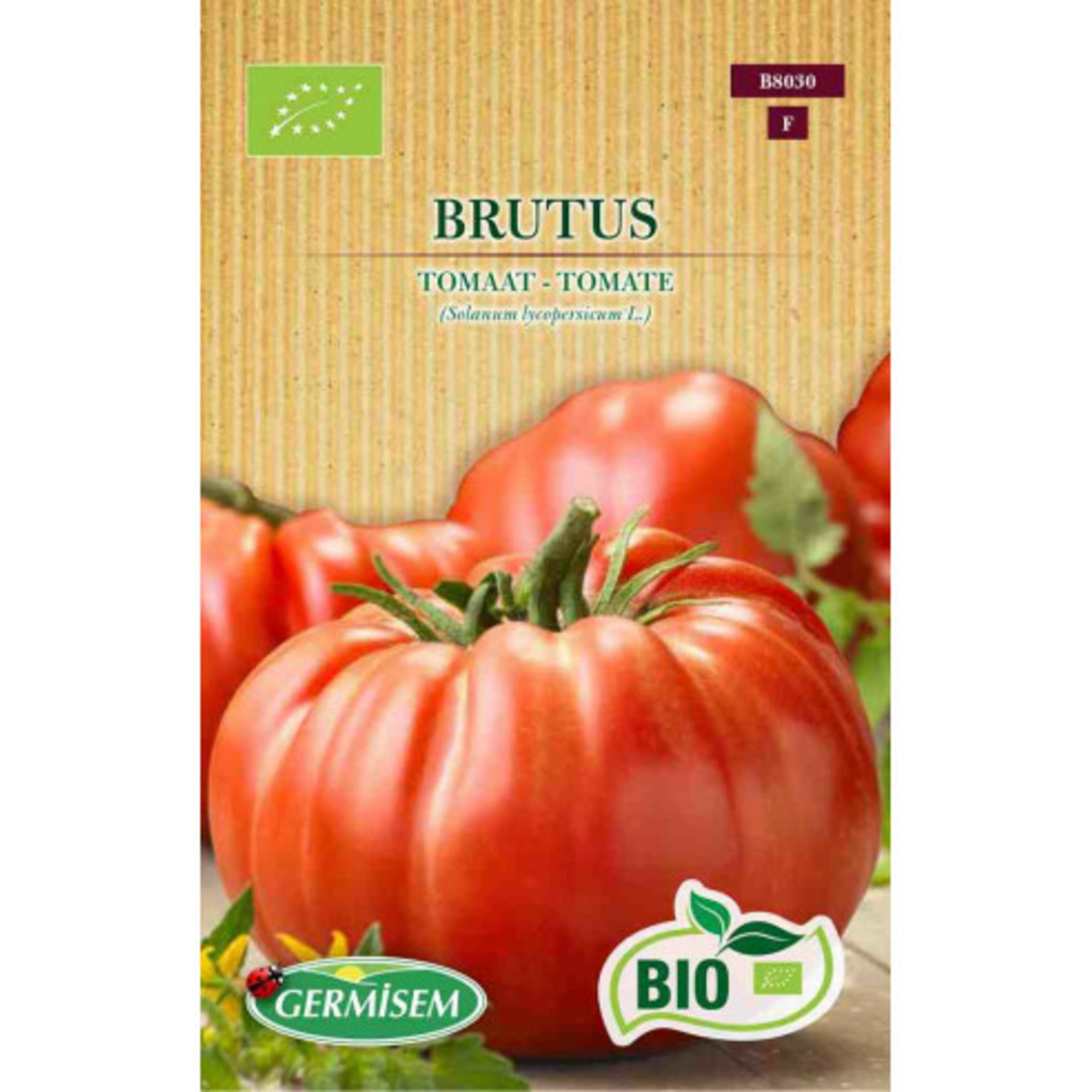 Semillas ecológicas de tomate Brutus