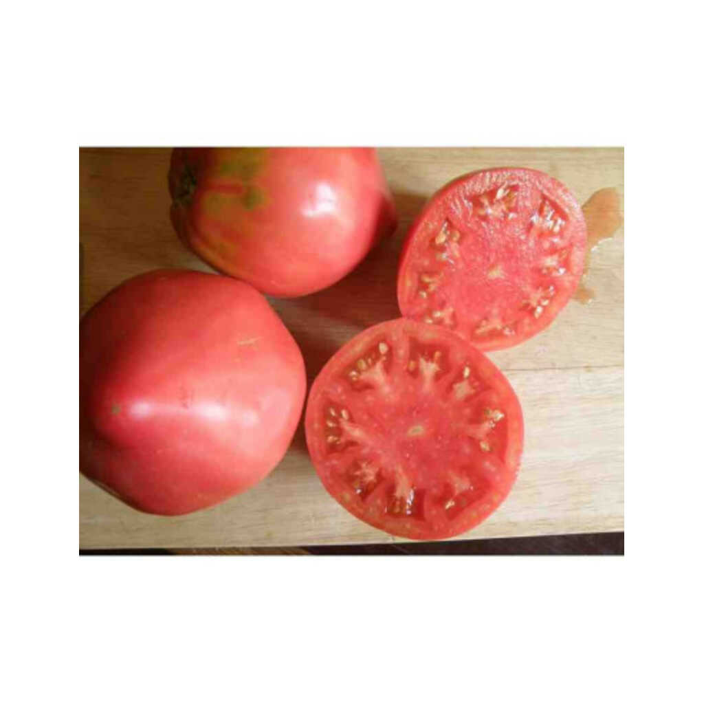 Semillas ecológicas de tomate corazón de buey del Lluis