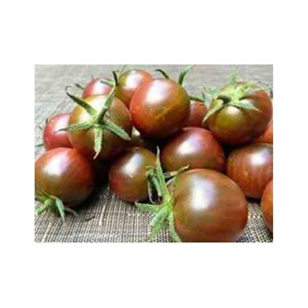 Semillas ecológicas de tomate pequeño cereza negro