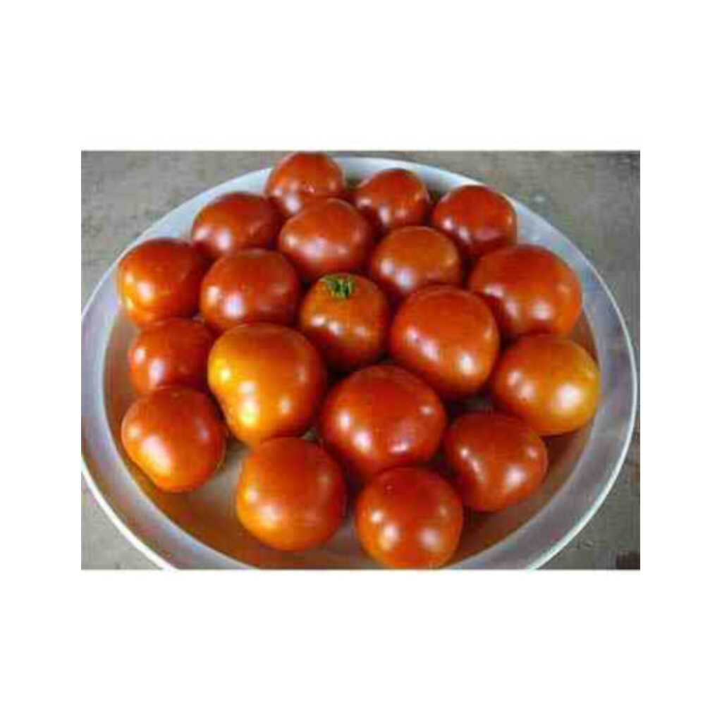 Semillas ecológicas de tomate pequeño de mata baja