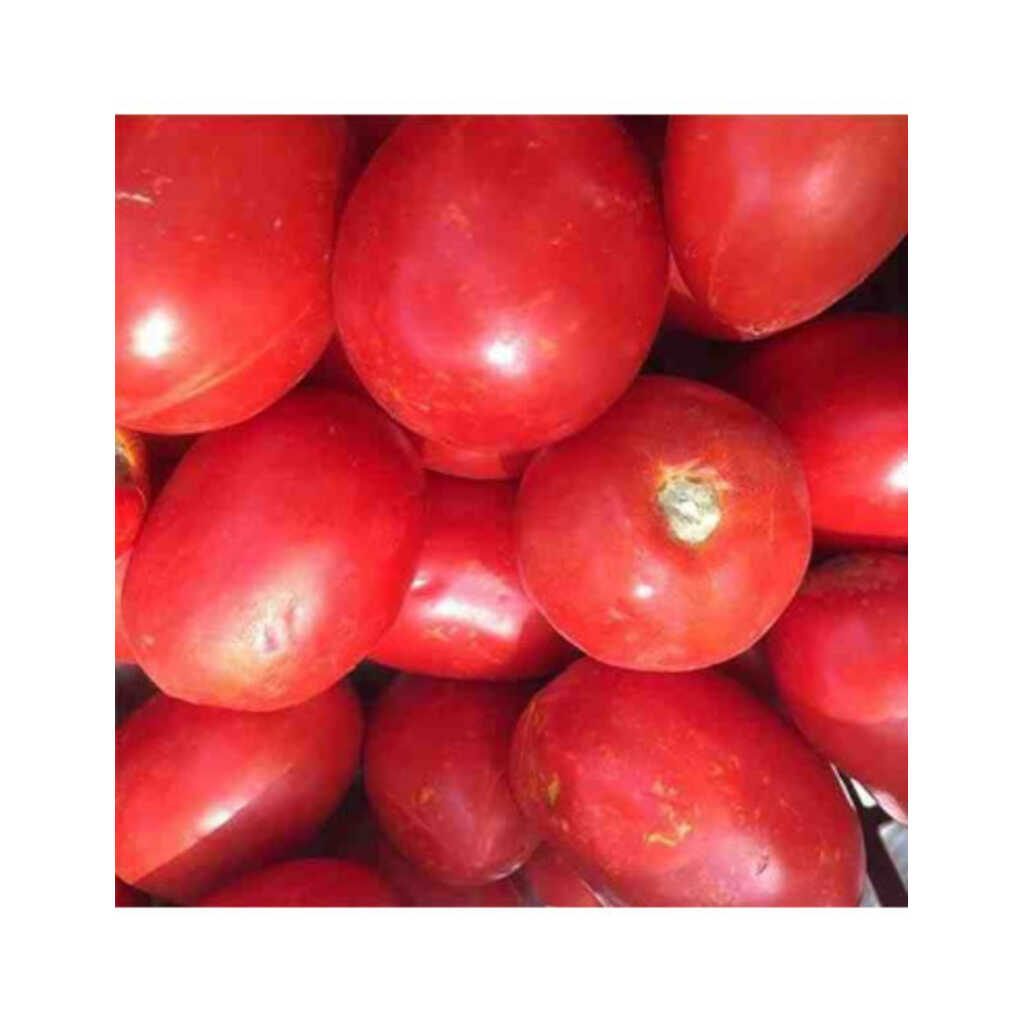 Semillas ecológicas de tomate pera Delta