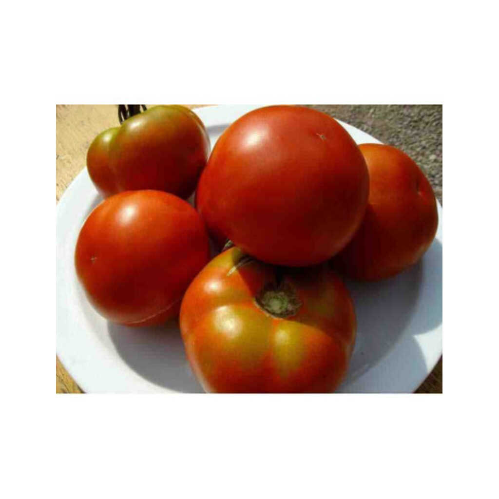 Semillas ecológicas de tomate pometa