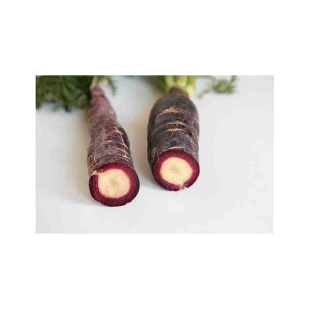 Semillas ecológicas de zanahoria morada de Montuïri_1