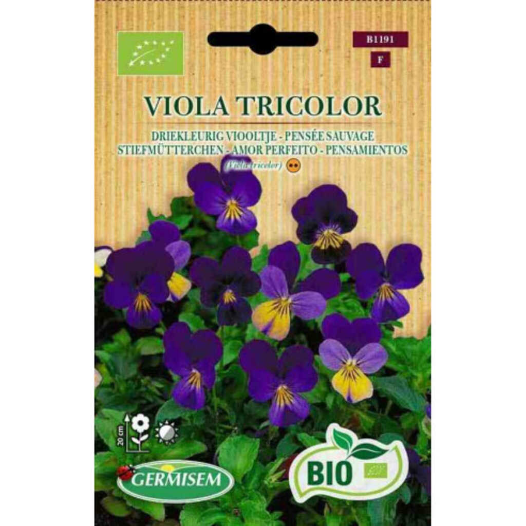 Semillas ecológicas pensamientos (Viola tricolor)