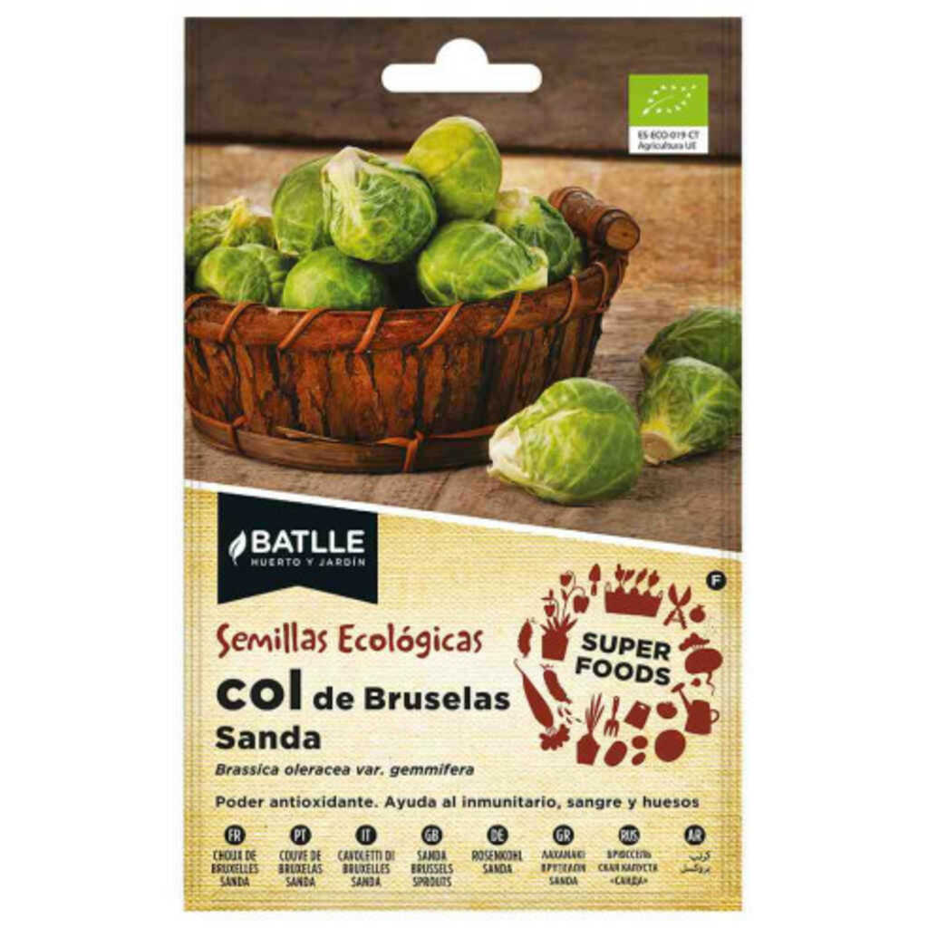 Semillas ecológicas super food de Col de Bruselas Sanda