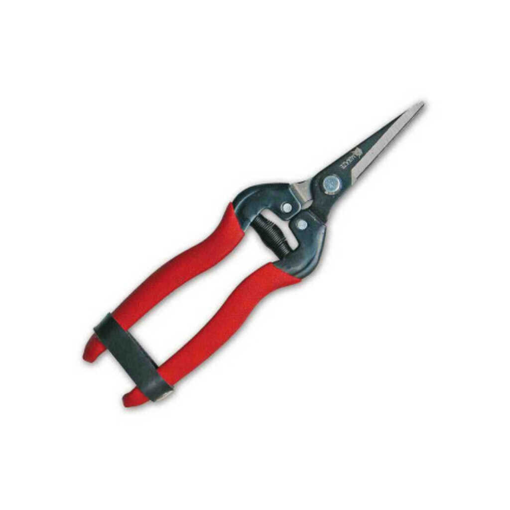 Tijera de recolección y poda para flores T-556