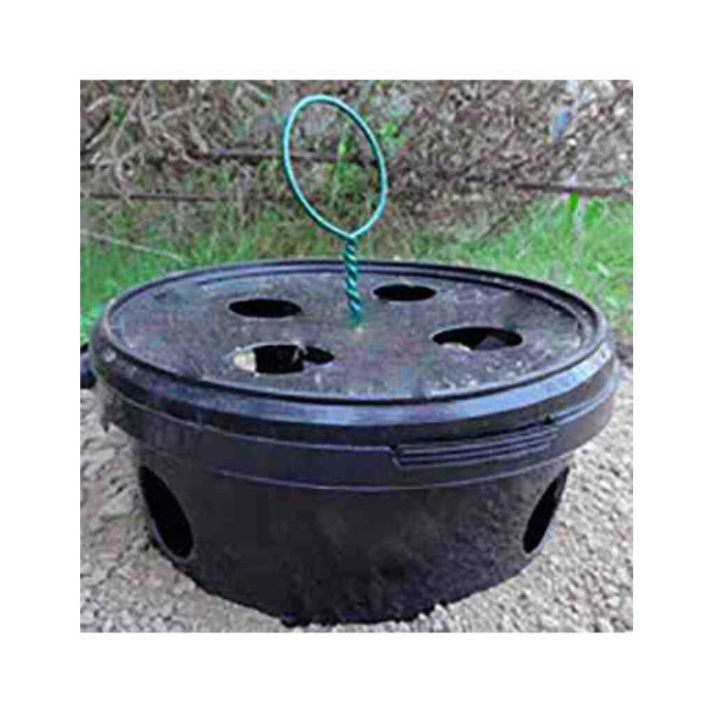 Trampa Bucket para el control del picudo rojo (Rhynchophorus)_1