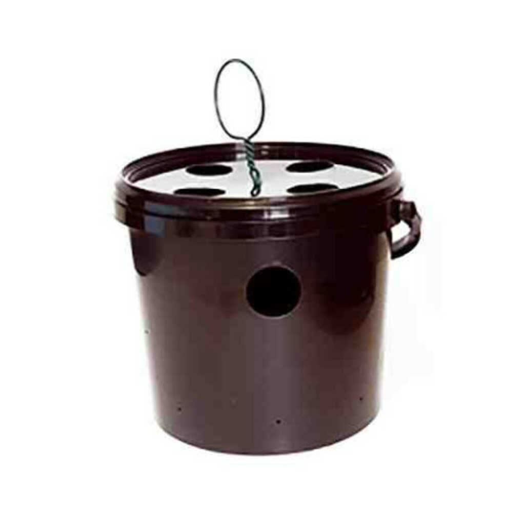 Trampa Bucket para el control del picudo rojo (Rhynchophorus)