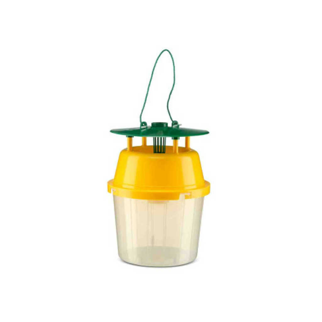 Trampa Funnel Polillero