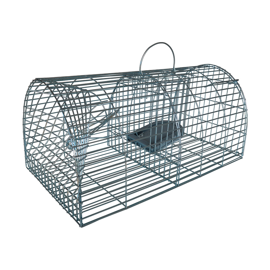 Trampa multicaptura para ratas_1
