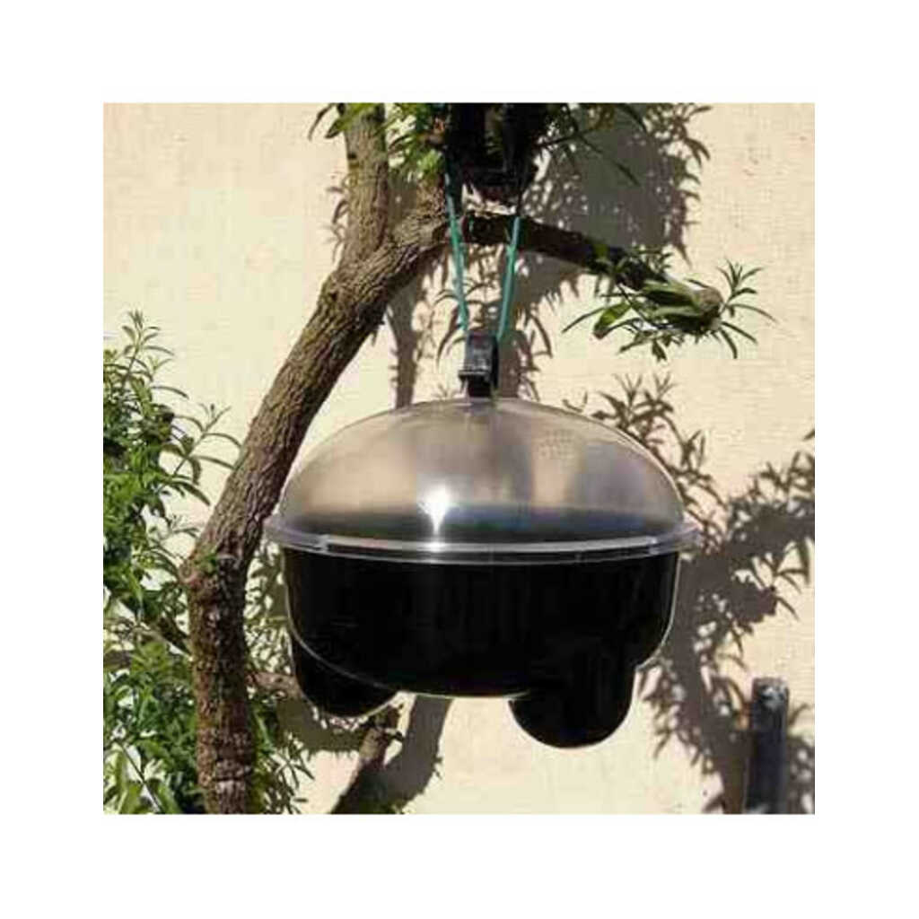 Trampa para avispas Avispa'clac 3