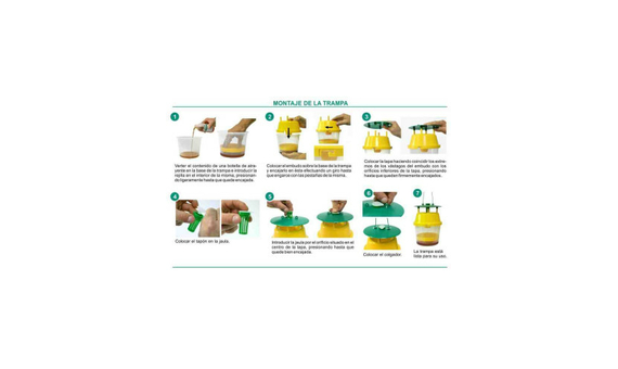 Trampa para la captura de la avispa asiática (Vespa velutina) 3