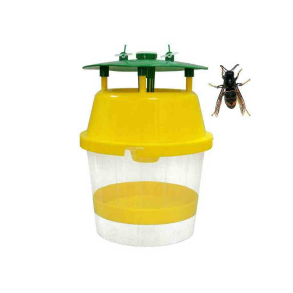Trampa para la captura de la avispa asiática (Vespa velutina)