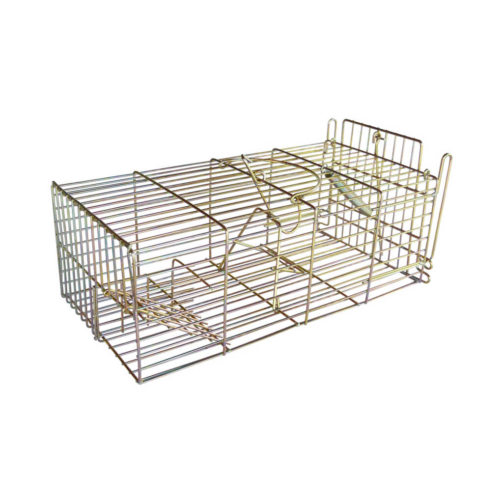 Trampa metálica para captura de ratas_1